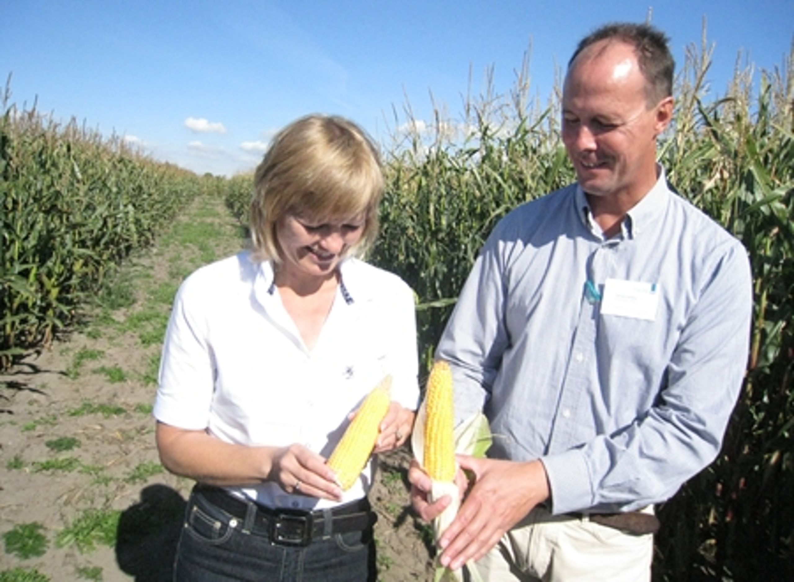 Det m&#248;der nu kritik, at Plantedirektoratet tester genmodificerede majs fra Monsanto og ikke deler resultaterne med offentligheden. Her bliver majsene vist frem af f&#248;devareminister Eva Kjer Hansen (V) og fors&#248;gsleder Gerhard Deneken fra Plantedirektoratet.