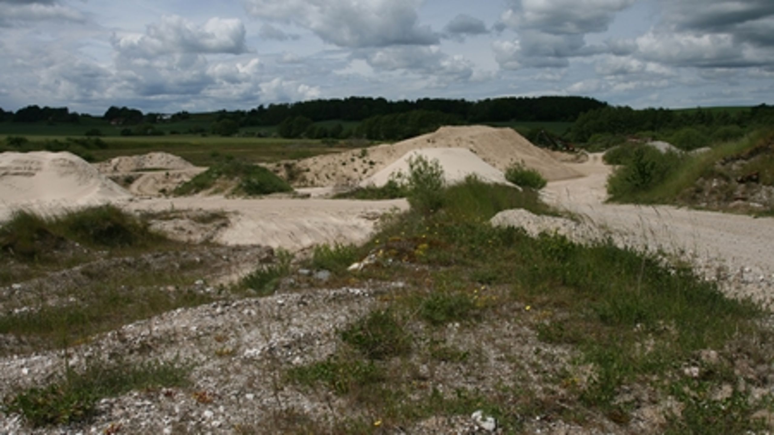 I gamle råstofgrave kan planter myldre frem, hvis gravene ikke bliver efterbehandlet. 