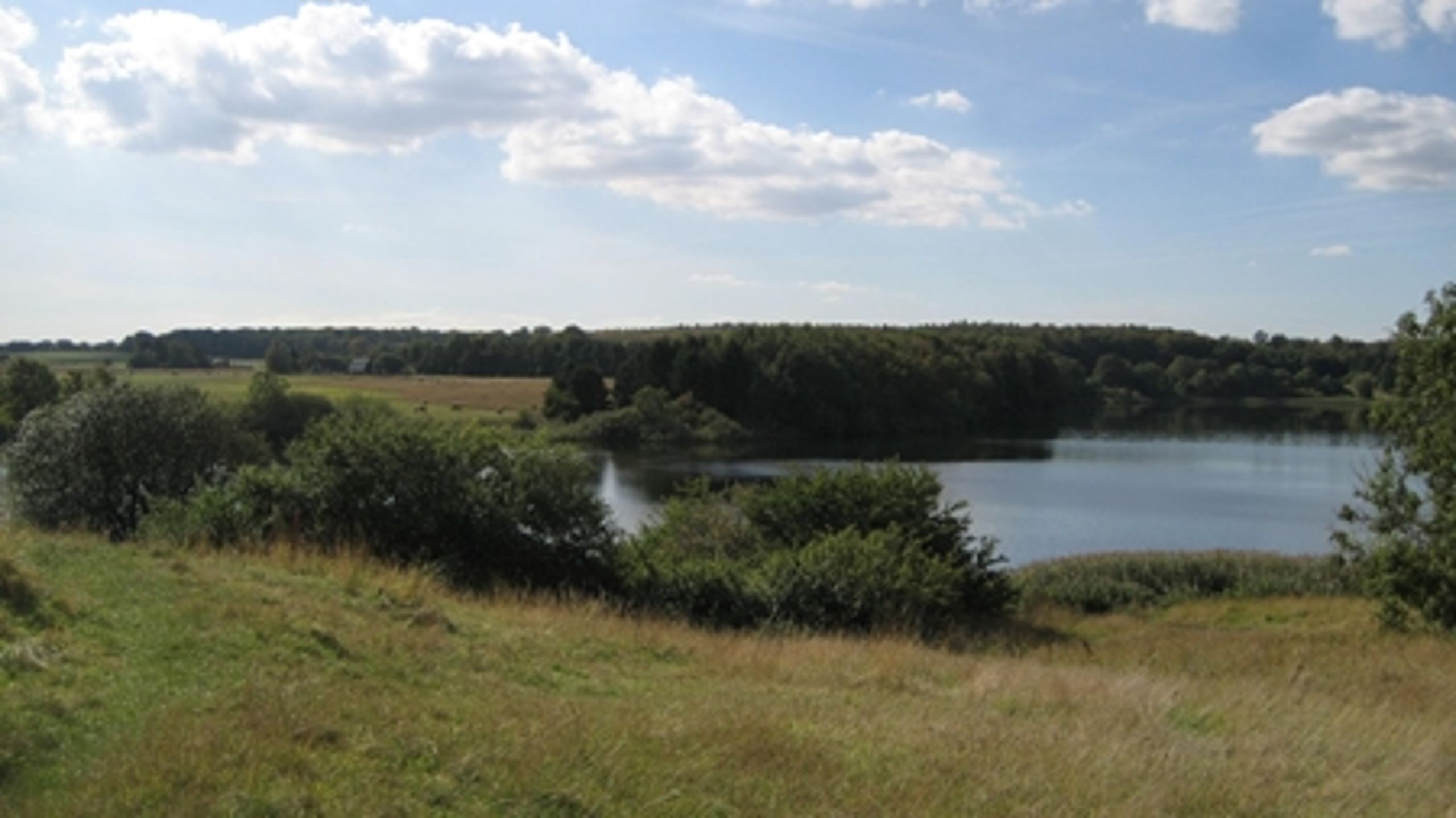 Landbrug & Fødevarer og Bæredygtigt Landbrug har samlet set godt 1.000 ansatte. Naturorganisationerne har godt en tiendedel.