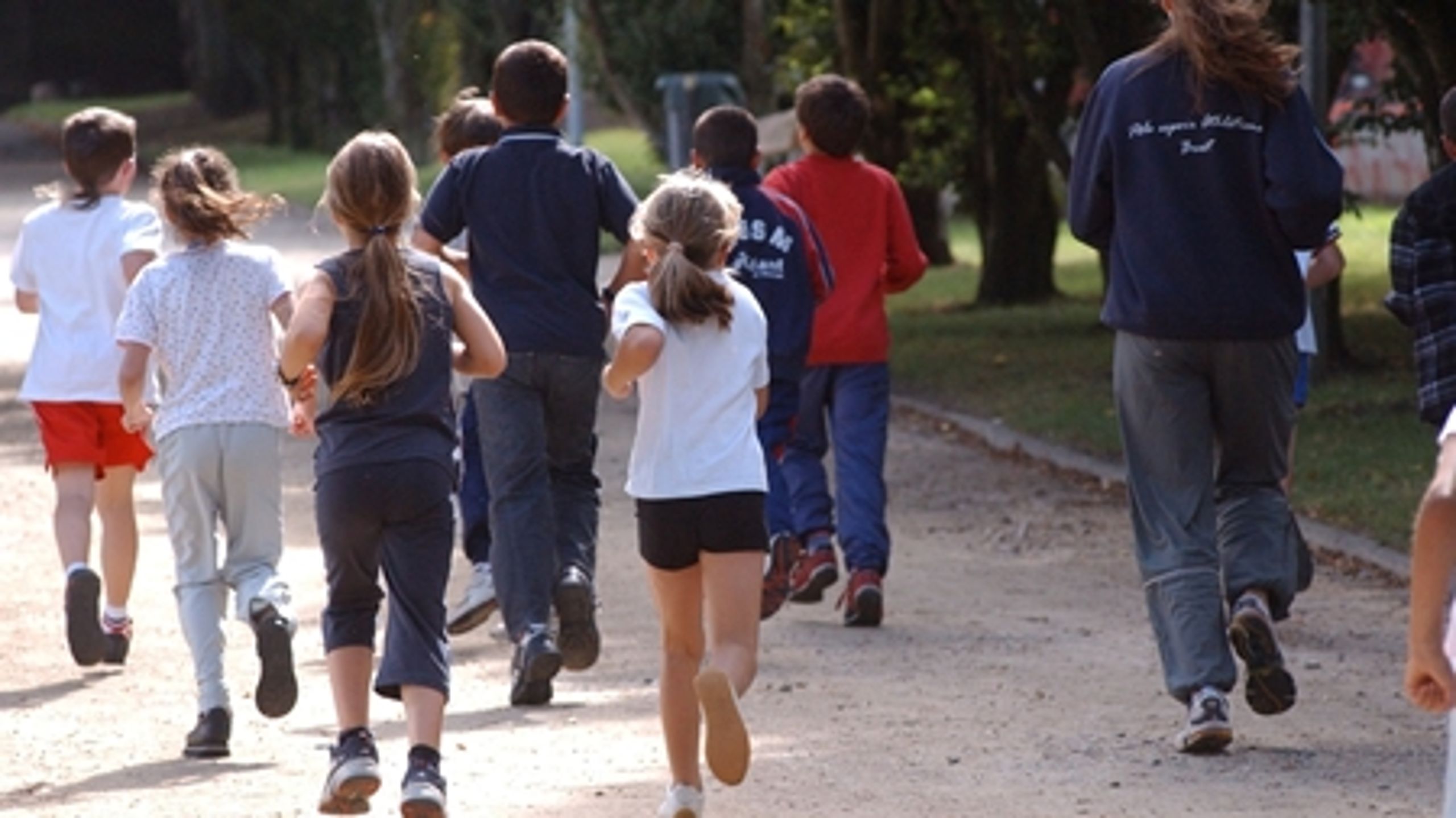 Revideringen af idrætsområdet skal tilgodese behovet for at sætte fokus på motion og bevægelse i skoleregi. Det skriver Dansk Skoleidræt i dagens idrætsdebat.  