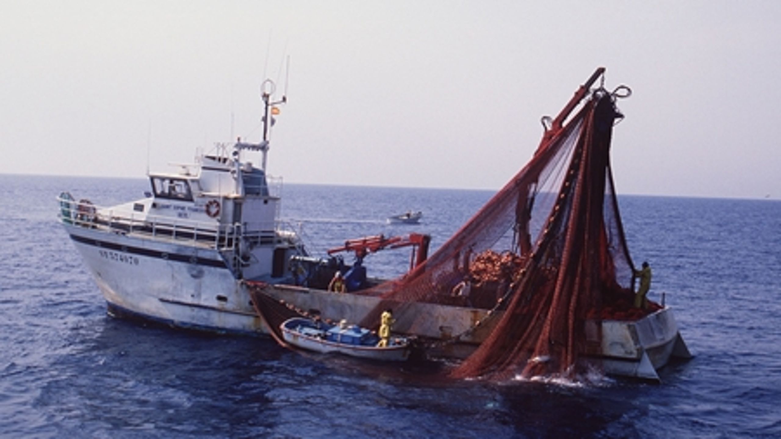 Det er for dårligt, at der fortsat gives lov til trawlfiskeri i natura 2000-områderne, mener WWF.