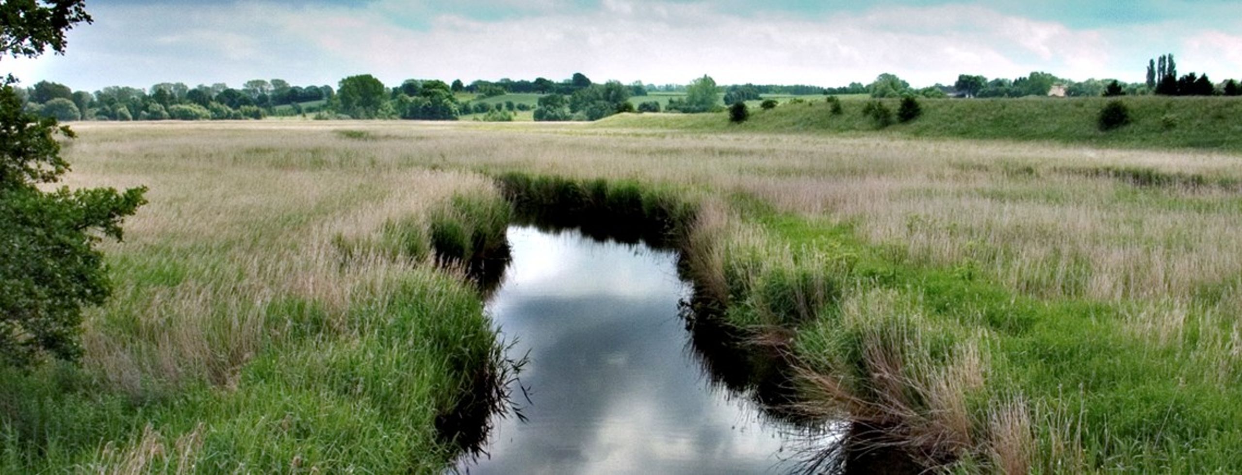 Rød blok kræver kompensation for den natur, der forsvinder, når randzonerne ophæves.