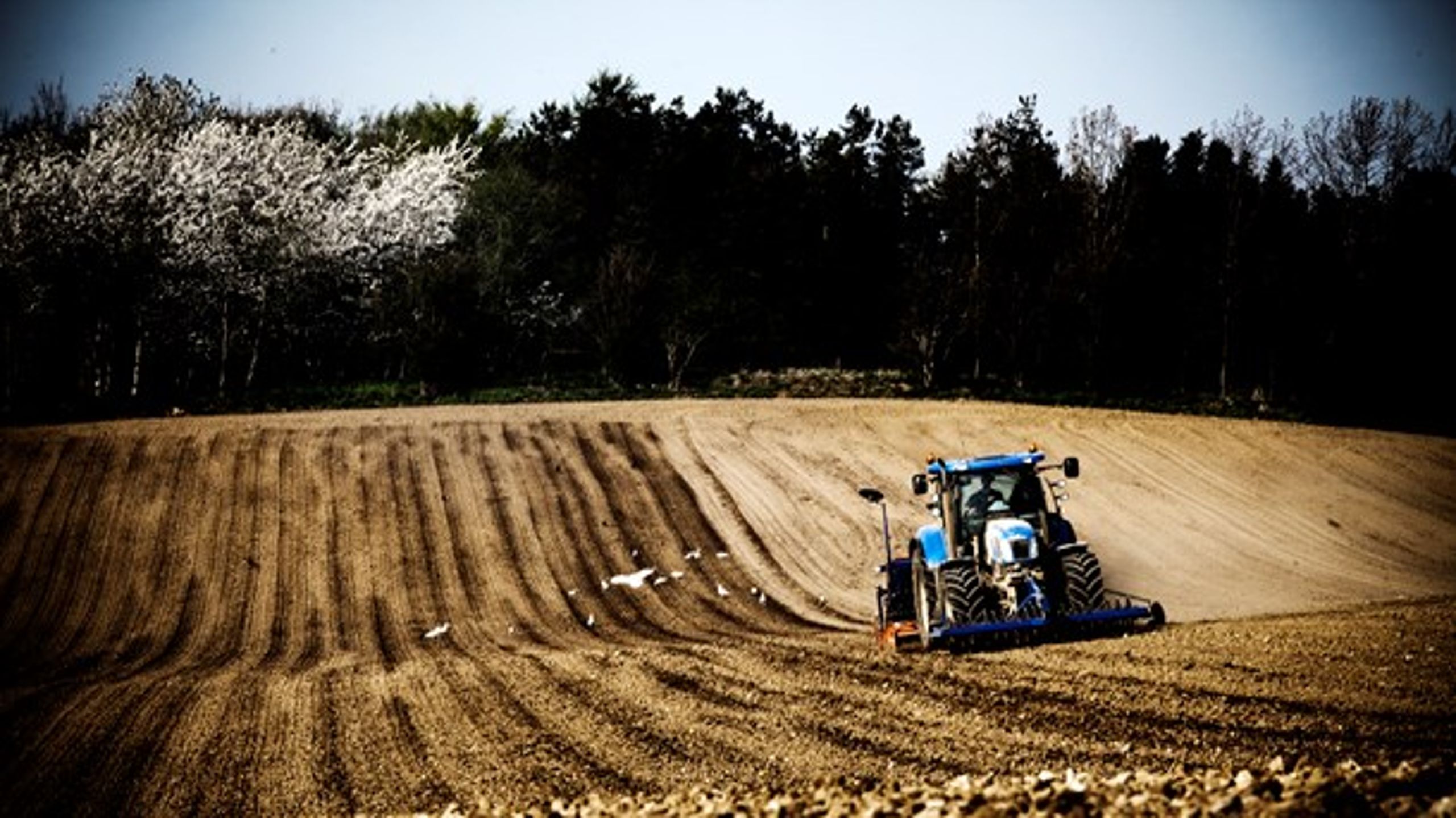 Det er et lille mirakel, at vi i Danmark har et af verdens mest velfungerende og effektive setup til at hjælpe landmænd med at optimere deres produktion og producere flere fødevarer af høj kvalitet med stadig mindre miljøbelastning, skriver Anne Lawaetz Arhnung.&nbsp;