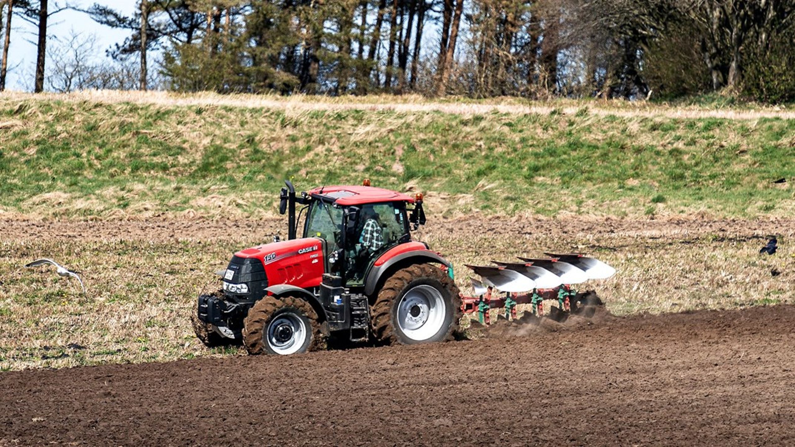 Vi er mange, der har en holdning til, hvordan landbruget gøres mere klimavenligt, og to hjerne tænker bedre end én. Men det gælder nu kun, hvis de tænker sammen, skriver&nbsp;Jeannette Ørbeck.