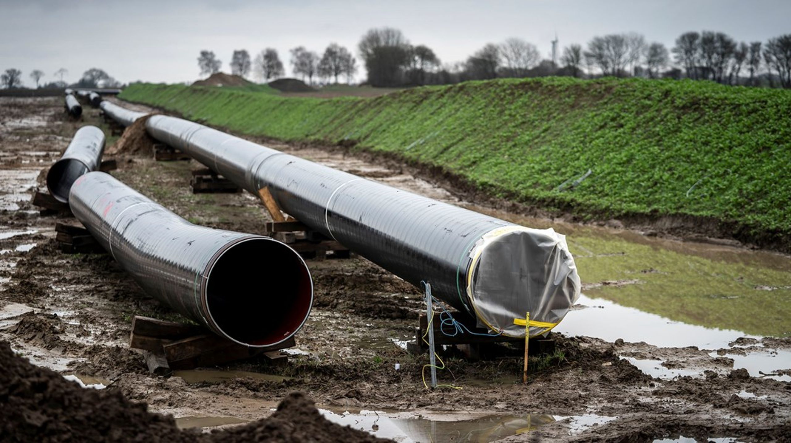 Hvis der skal ske en hurtig omstilling, er gas en nem og realistisk løsning, som kan implementeres med hensyntagen til fabrikkens livscyklus og give en umiddelbar reduktion i CO2-udledningen, skriver Torben Franch.