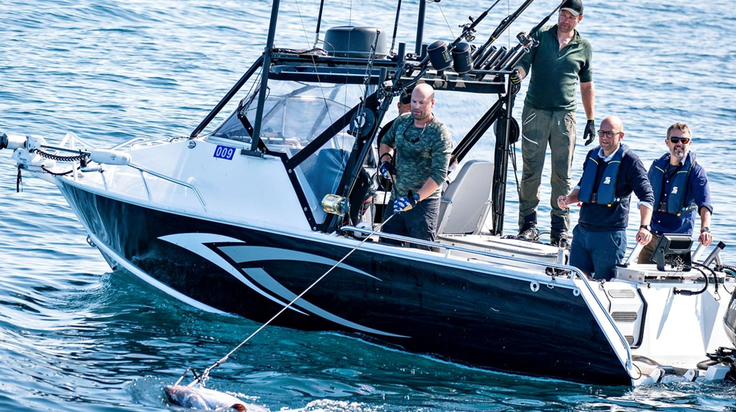 Fiskeriminister Rasmus Prehn (S) deltager sammen med kronprins Frederik i mærkning af tun tilbage i august, efter at den blåfinnede tun er vendt tilbage i danske farvande.&nbsp;