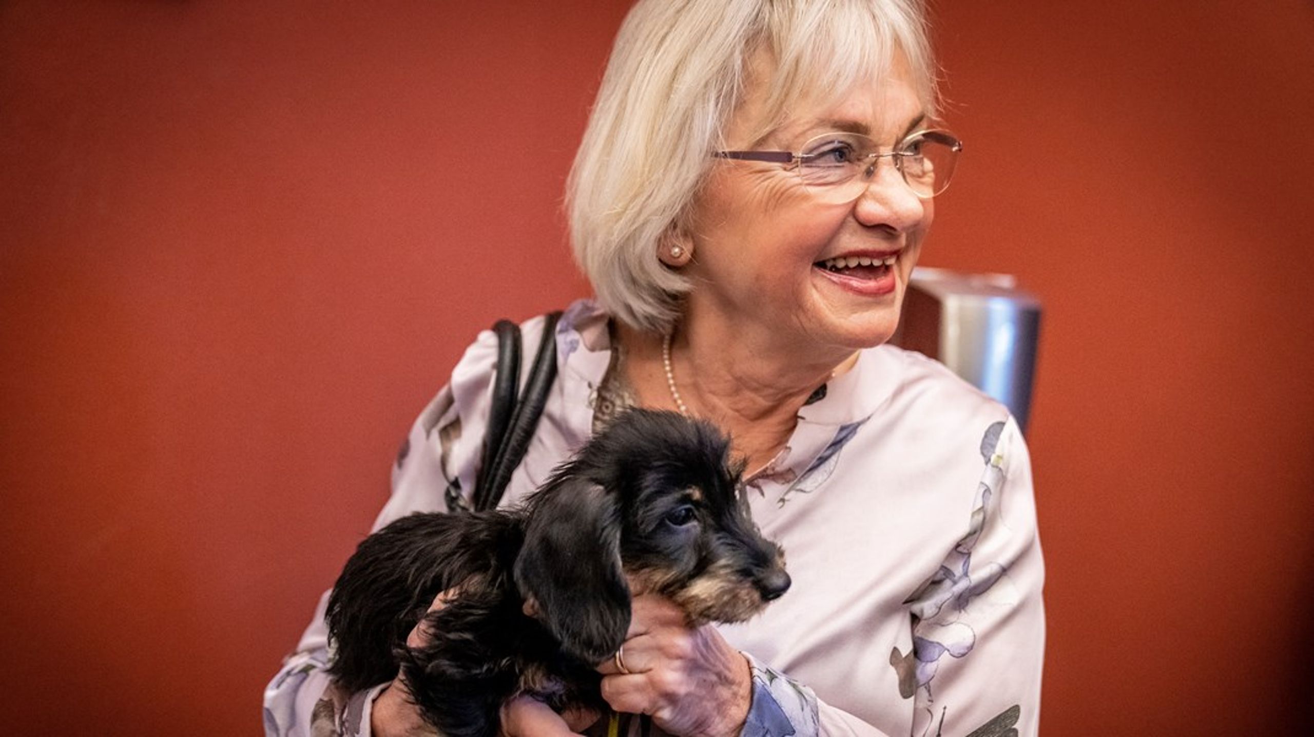 Pia Kjærsgaard fra Dansk Folkeparti fylder 75 år onsdag. Her står hun glad sammen med sin nye&nbsp;ruhårede gravhund Sonja.