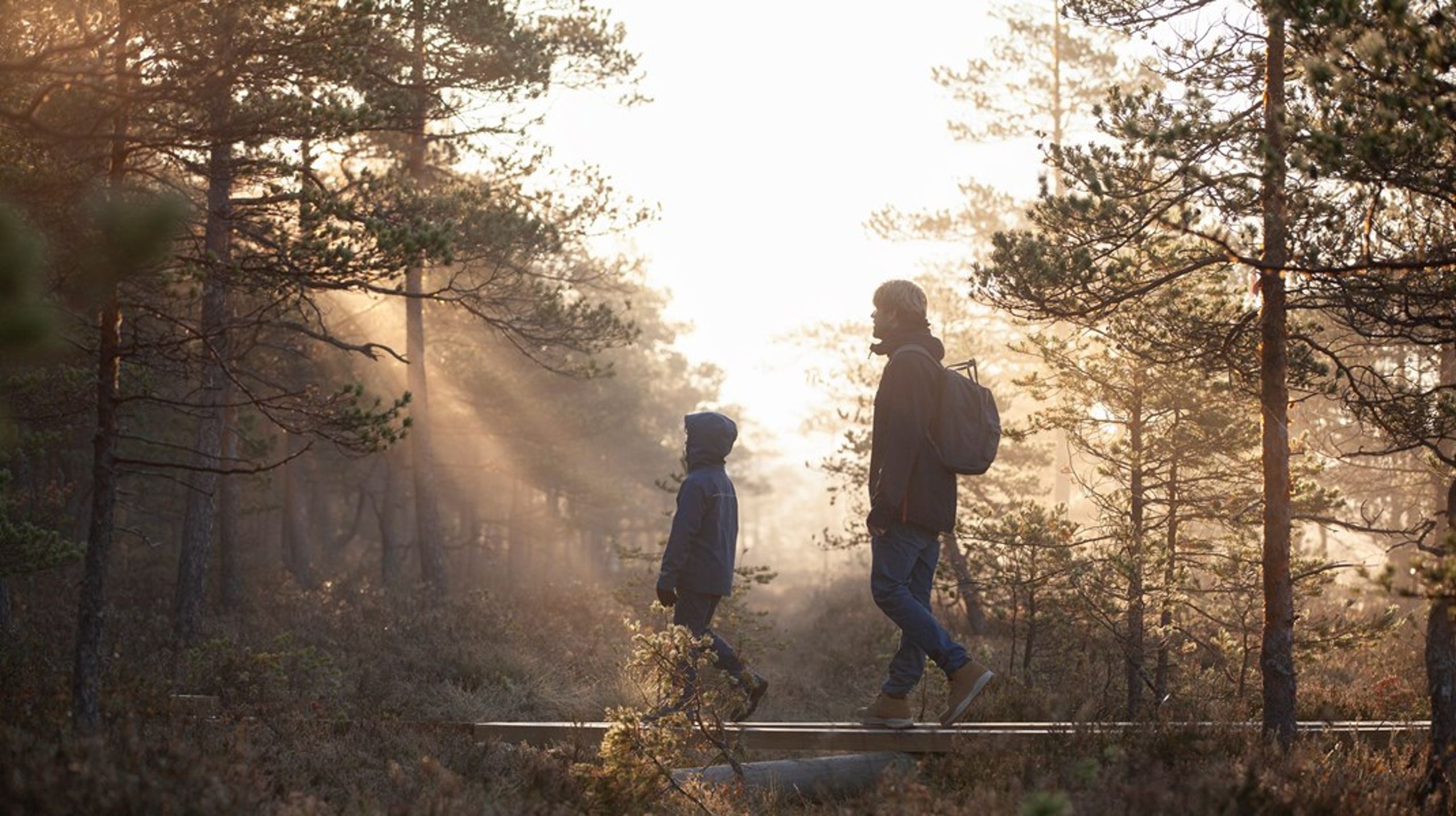 Novo Nordisk Fonden har besluttet at lægge en milliard i det nye Center for Sundt Liv og Trivsel, som er etableret i tæt samarbejde med kommunerne og uddannelsesinstitutioner og medfinansieres af den danske regering med 10 millioner årligt i perioden 2023 til 2032.&nbsp;