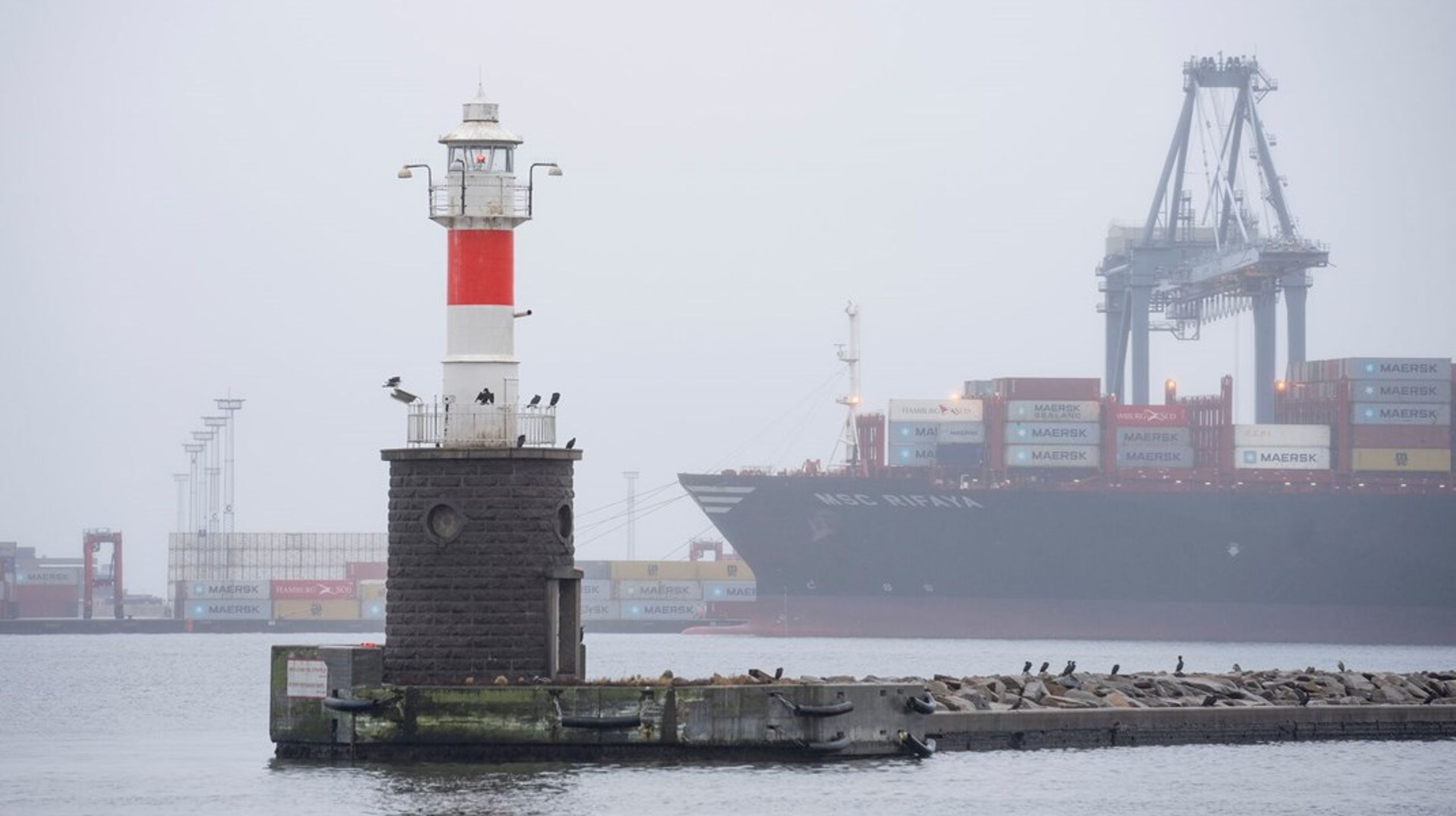 Nationalt bør der udformes en strategisk vision for landets samlede havneinfrastruktur og havnenes rolle i den nationale økonomi, skriver&nbsp;Henrik Sornn-Friese.