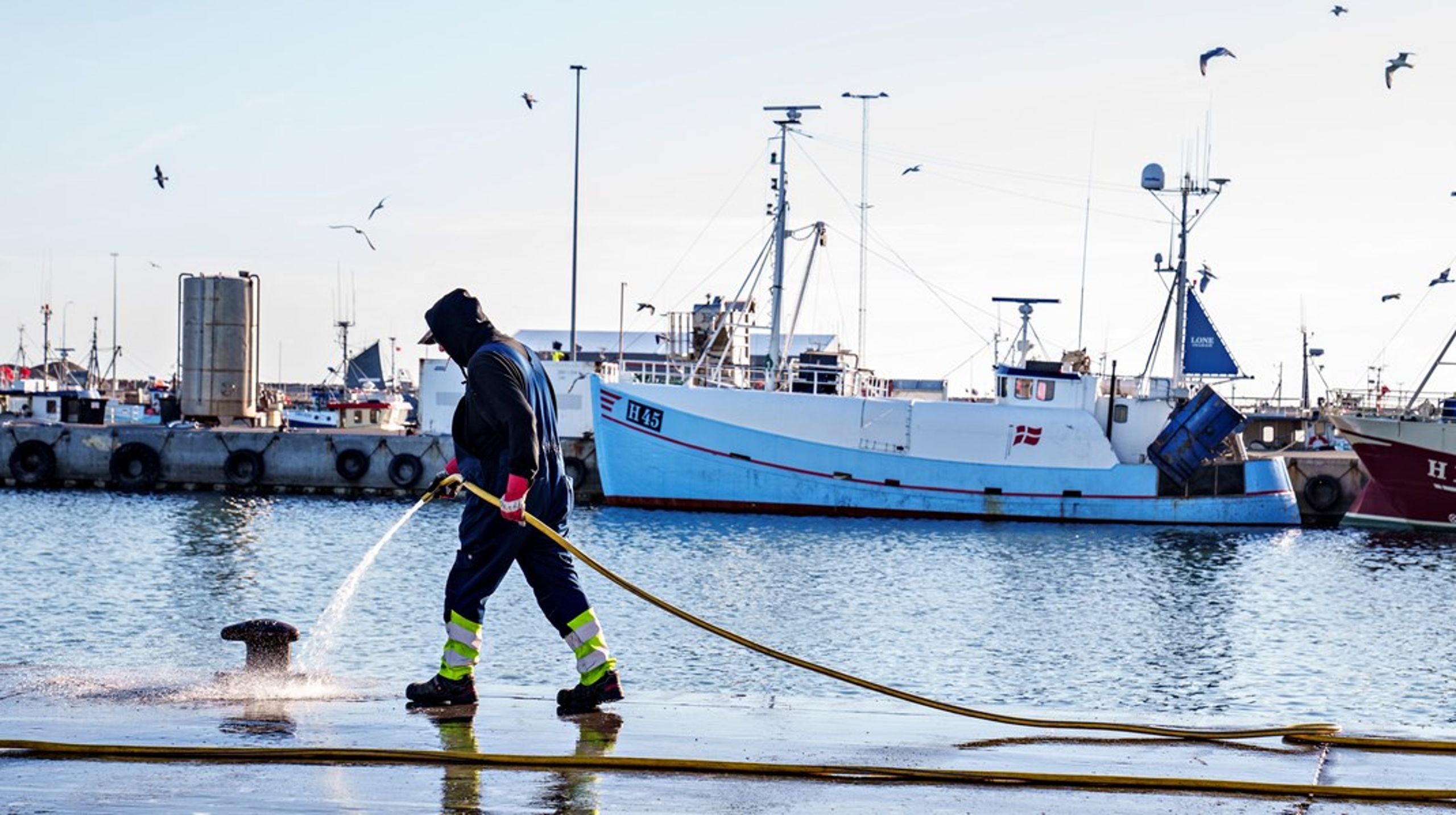 Fiskeri med skånsomme redskaber er ikke bare blot en fiskerimetode, hvor man kan høste af naturen og stadigvæk passe på den.&nbsp;Man opnår også bedre priser for den fisk, der fanges, skriver&nbsp;Søren Jacobsen.