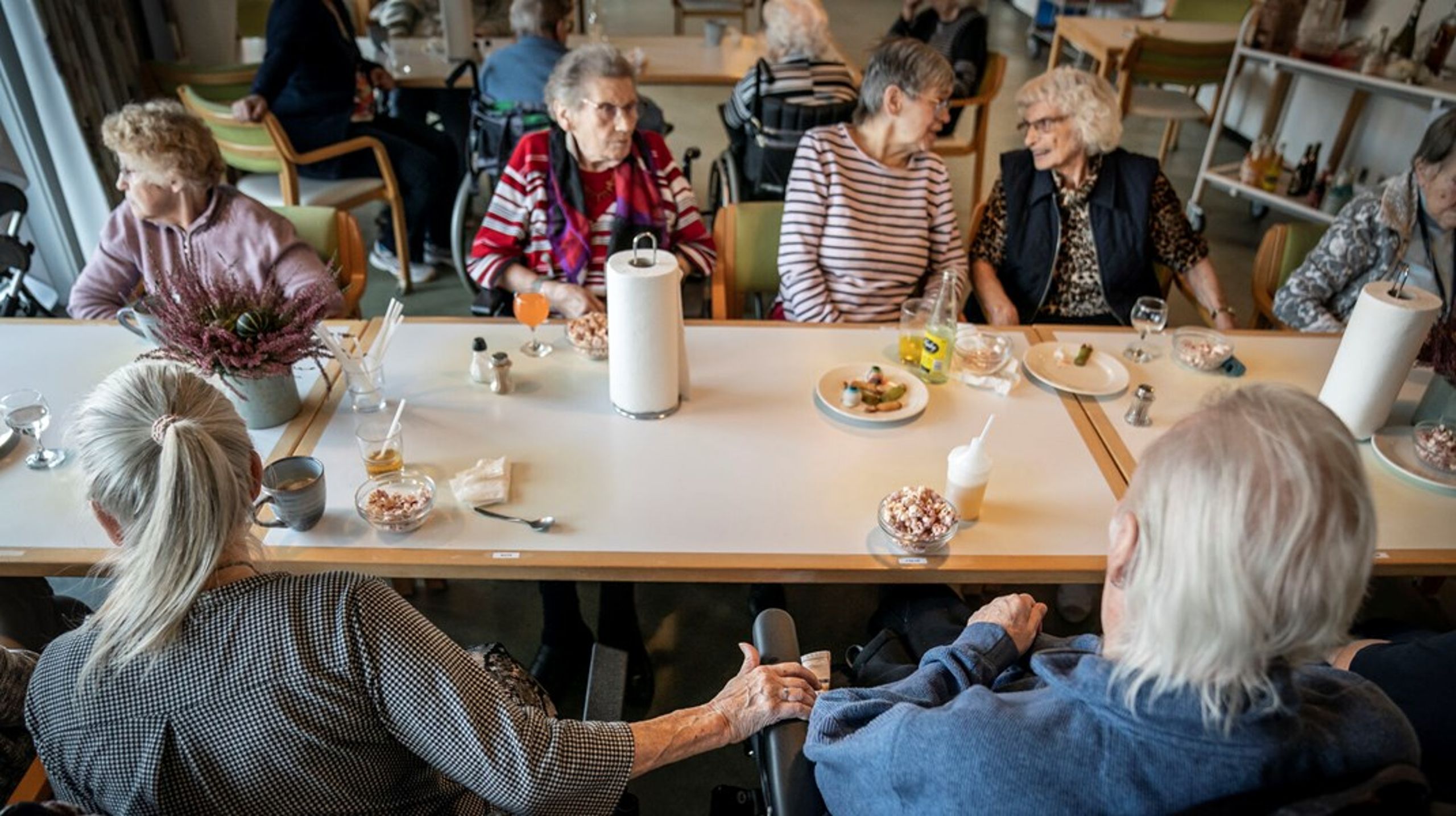 Ældre Sagen, Danske Patienter og Danske Handikaporganisationer vil samle driften og ansvaret for landets plejehjem under én, ny samlende myndighed.