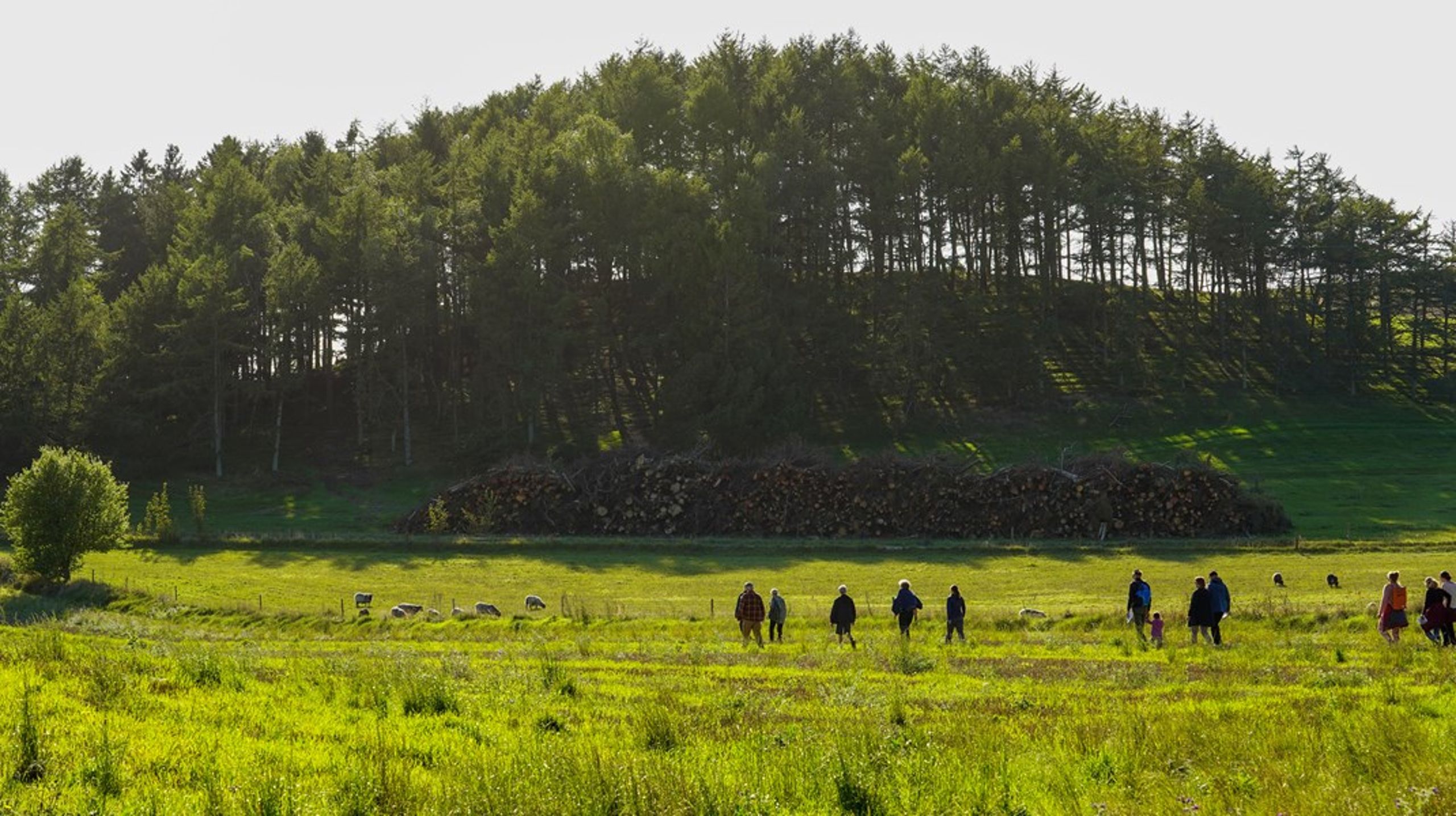 Fælles vandring til det nye naturområde i Nationalpark Mols Bjerge. Området blev opkøbt af Naturfonden, og efterfølgende har nationalparken indrettet området med hjælp fra lokale borgere og lodsejere.