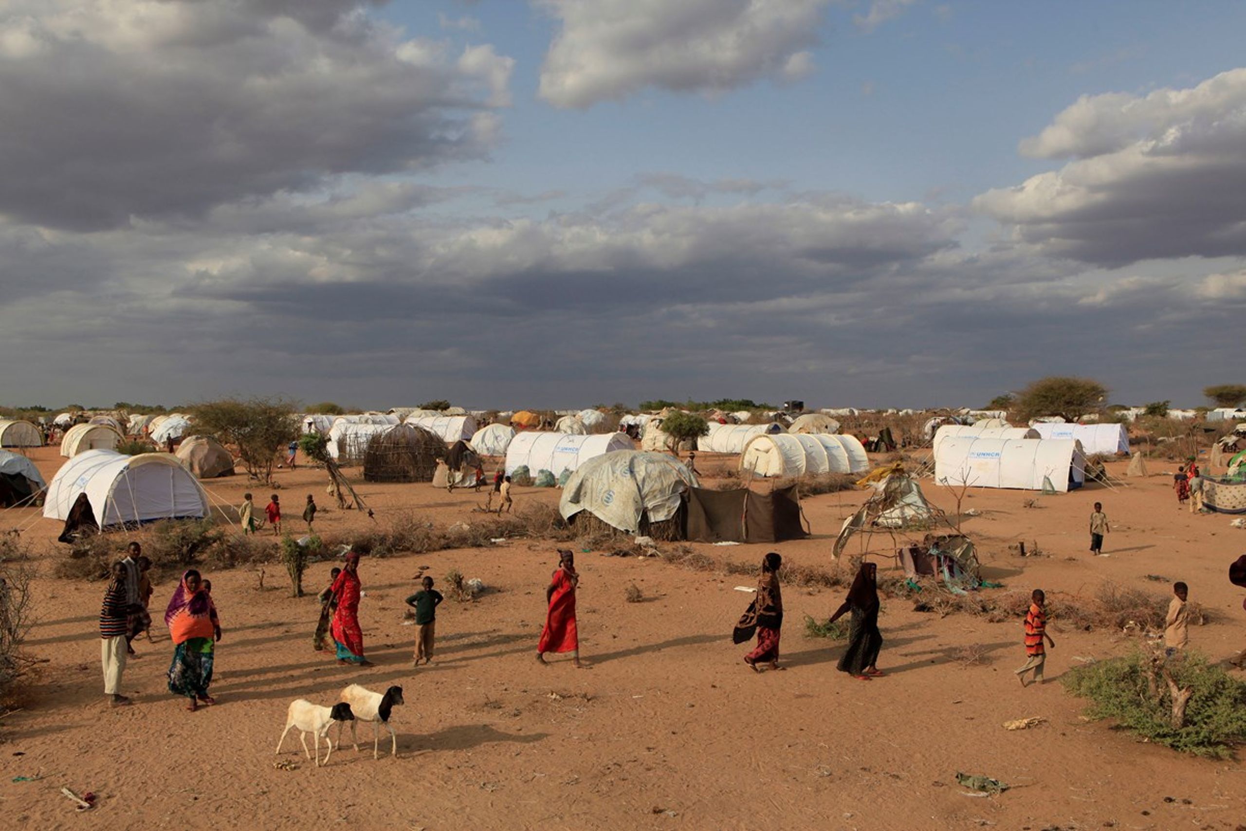 Hvis man arbejder i en organisation, hvis formål er at hjælpe mennesker, som har det ekstremt svært - for eksempel her i den kenyanske flygtningelejr Dadaab i et område,&nbsp;der i 2011 både var ramt af sult, tørke og borgerkrig - kan der være en tendens til at negligere, hvis udfordringer i organisationen skaber et dårligt arbejdsmiljø for medarbejderne. En særlig slags whataboutism i ngo'er. Det mener i hvert fald forperson for DM Civilsamfund Morten Hofmann Rytter.&nbsp;