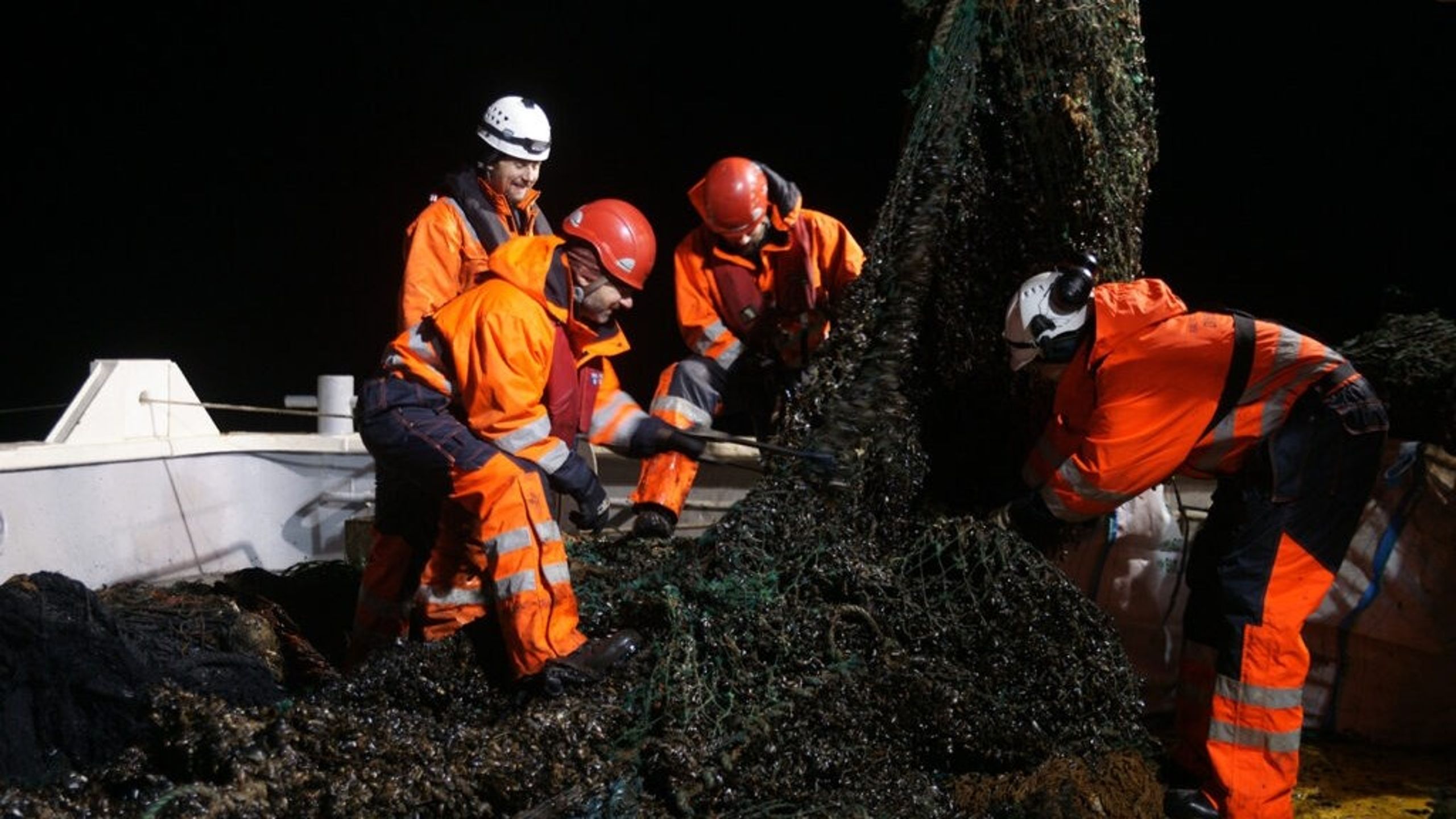 Projekt modtager støtte til at fjerne spøgelsesnet og tabte fiskeredskaber.