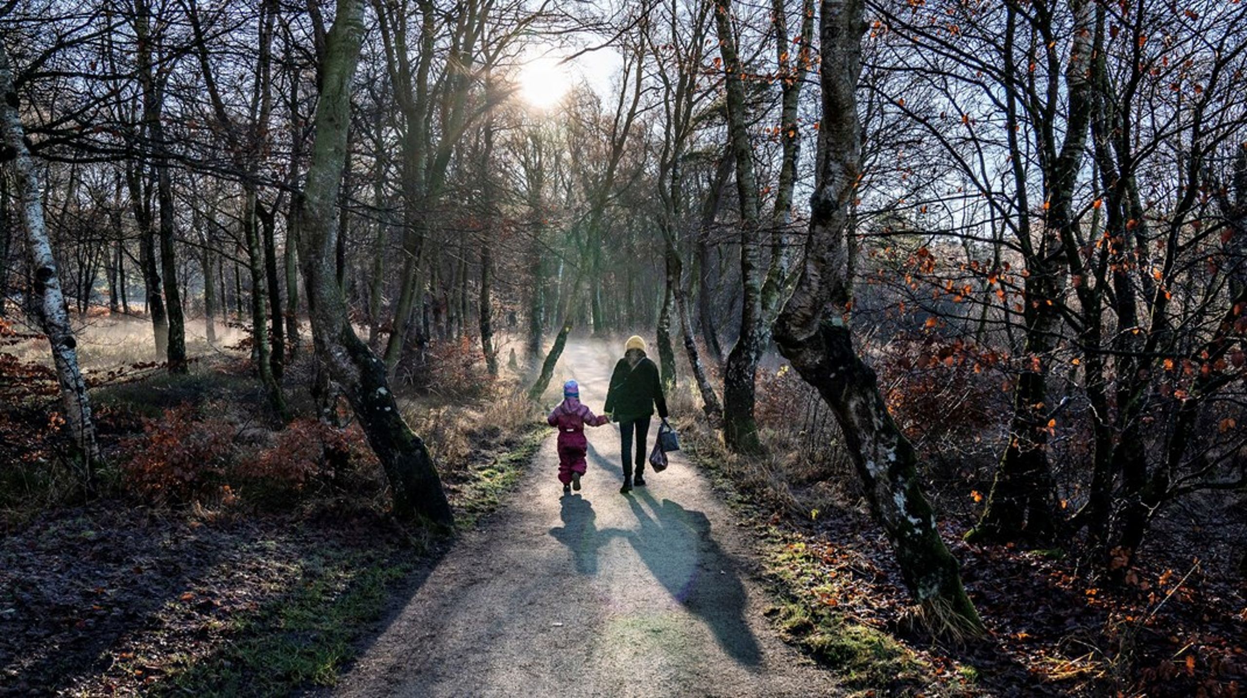 Rold Skov er et af de naturområder, som ifølge kortlægningen fra Aarhus Universitet bør være beskyttet natur. Hvis skoven reelt skal være beskyttet, skal man dog sørge for, at landbrug, skovbrug og jagt ikke forstyrrer biodiversiteten, siger biolog Rasmus Ejrnæs.