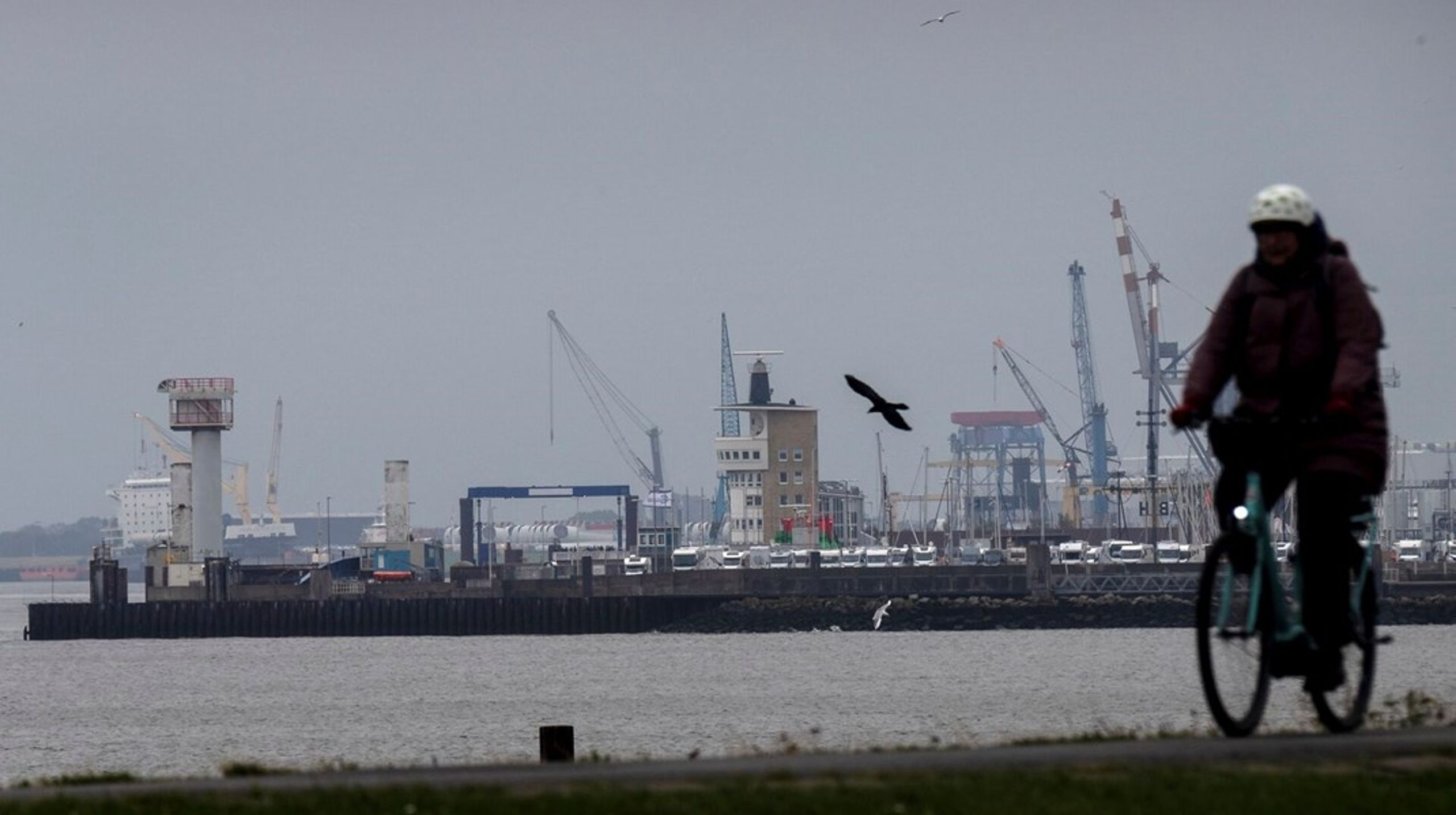 Vi kan bruge Cuxhaven (havn i Tyskland, red.) som eksempel: En ny tysk havnestrategi sætter havnene i centrum for transport, infrastruktur og energitransition.
Lad os have samme ambitioner for de store danske havne, skriver Dansk Offshore.