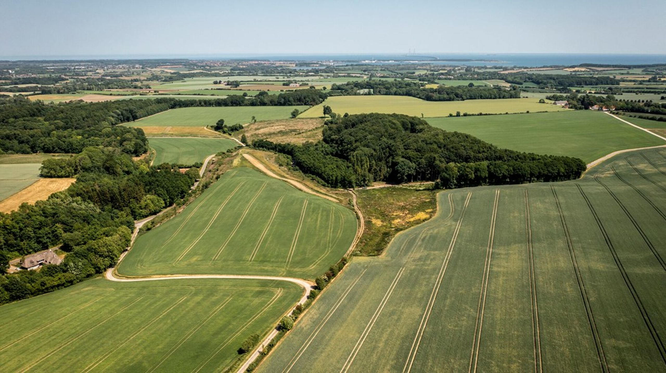 I en ny rapport har tænketanken Concito lavet tre bud på, hvordan Danmarks arealer kan benyttes i 2050 på en måde, hvor mål for klima, vandmiljø, biodiversitet og grøn energi alle indfries.