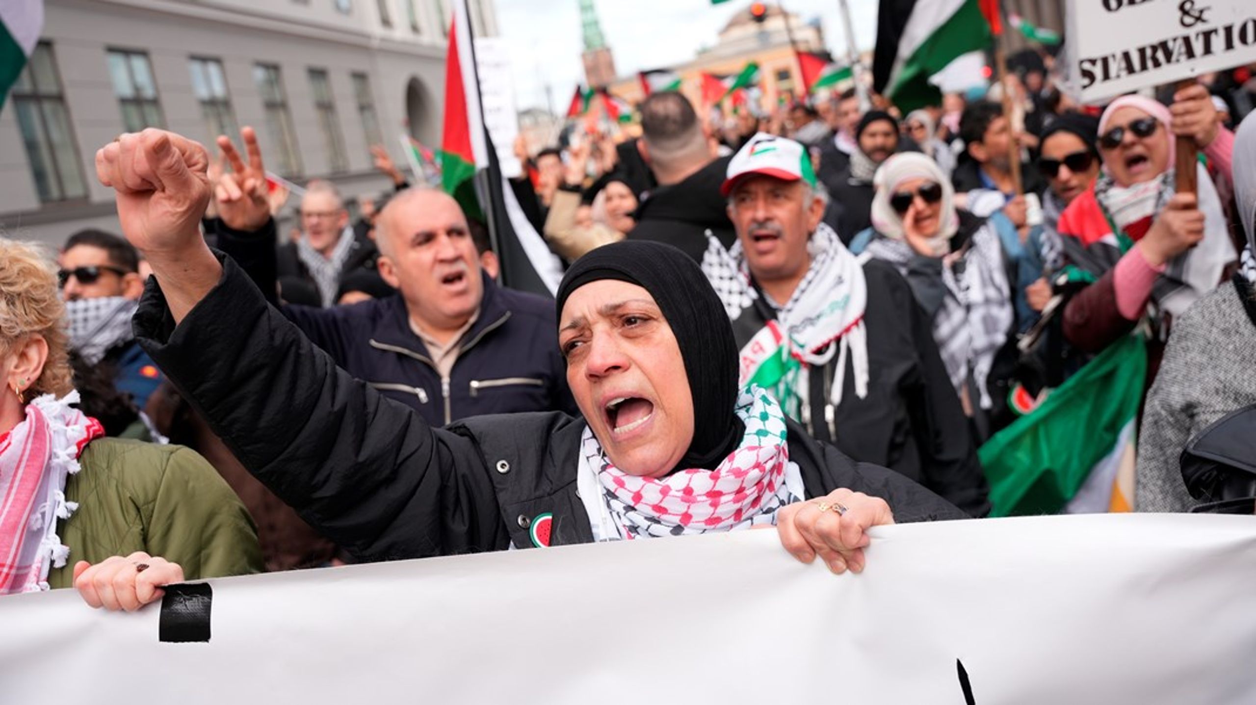 I det seneste år har der herhjemme været holdt utallige pro-palæstinensiske demonstrationer, hvor titusinder af demonstranter har udtrykt støtte til palæstinenserne og tordnet mod Israel, skriver Thomas Larsen.