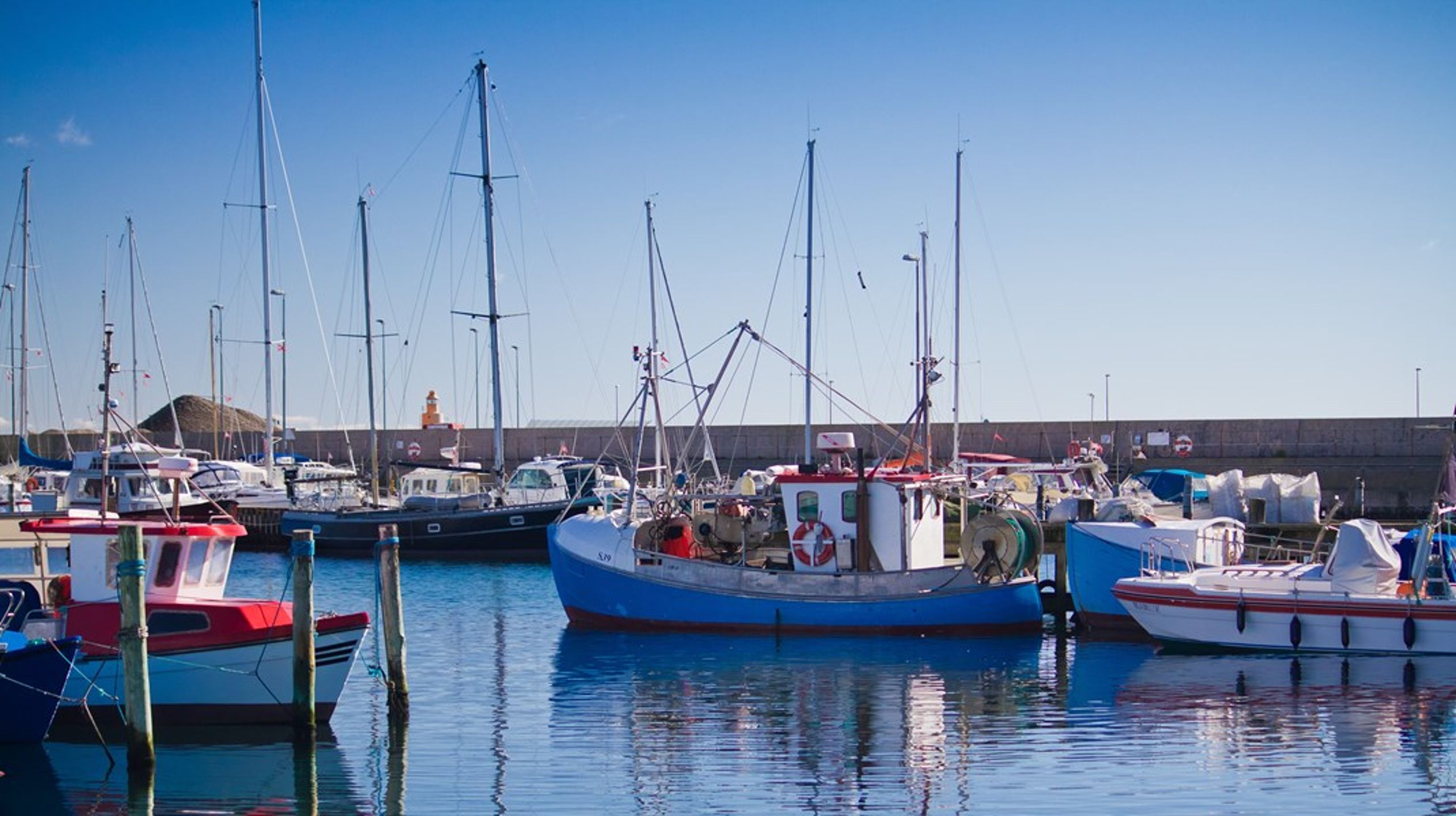 Enkelte fiskere forsøger netop nu at etablere små havmarker nær deres havne. De er pionerer, og afhængigt af hvor godt det går dem, vil mange andre følge efter, skriver Joachim Hjerl.