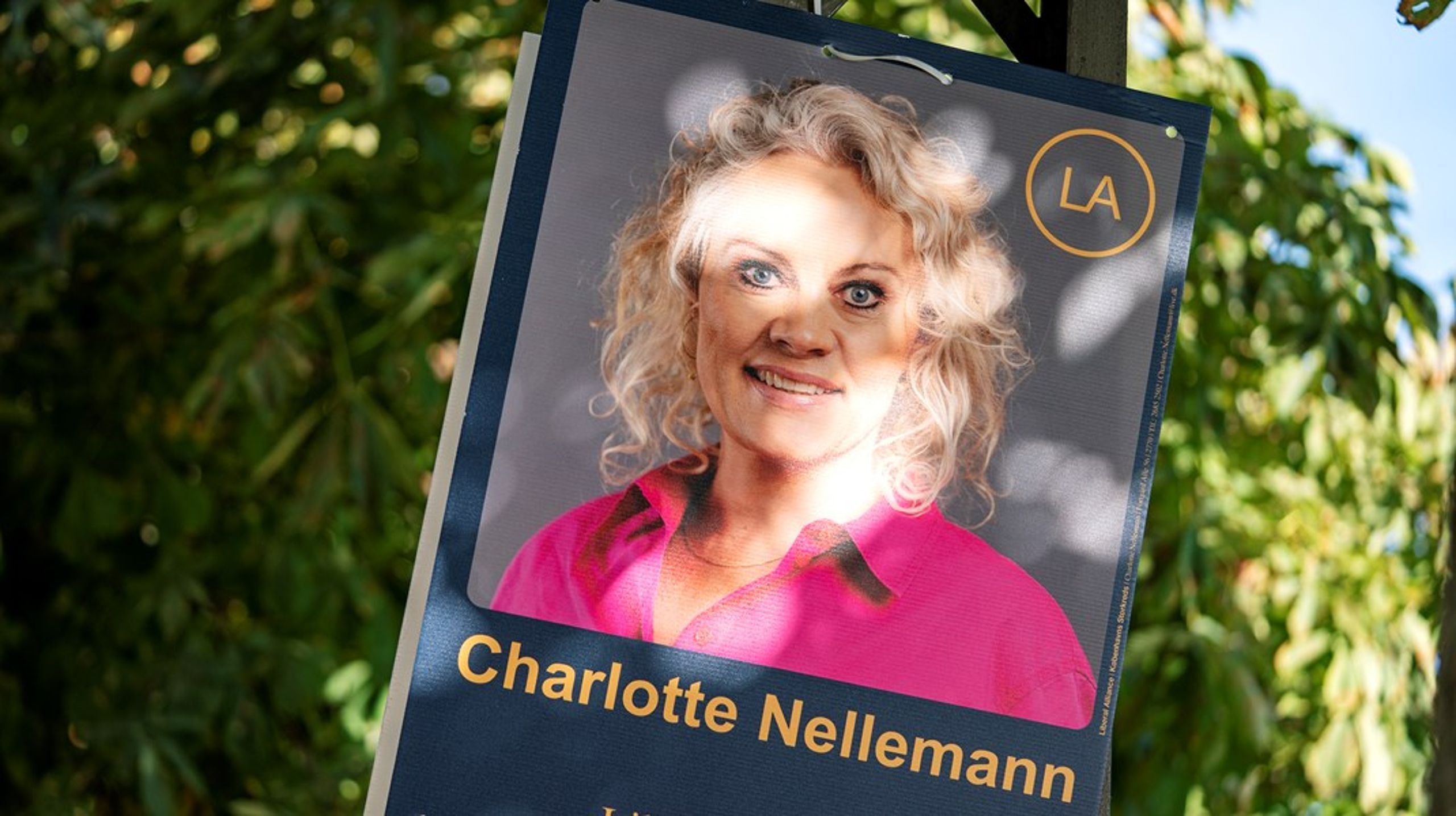 Charlotte Nellemann fra Liberal Alliance er blandt de tre politikere, der indtræder som midlertidige folketingsmedlemmer, når FN-delegationen tager til New York.