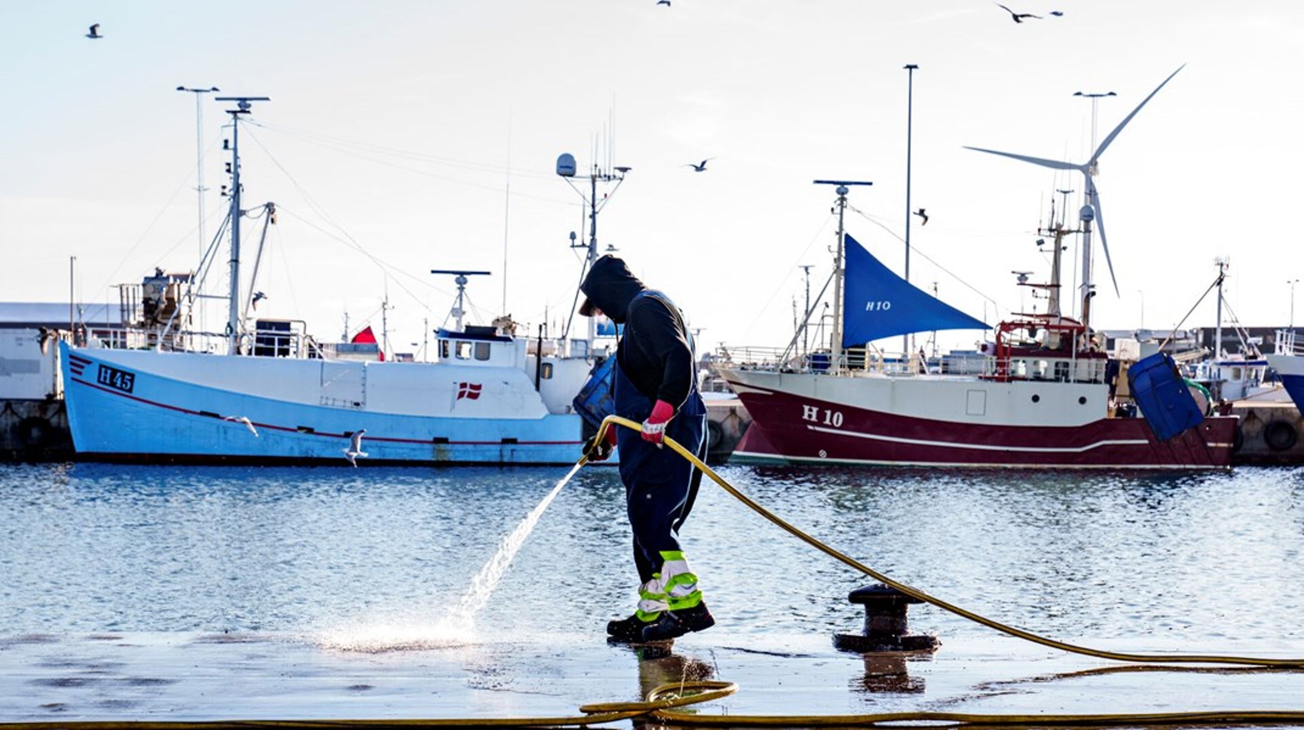 For fiskerne handler iltsvind i de danske farvande om deres levebrød. Derfor vil de have sat effektivt ind for landbrugets kvælstofudledning.