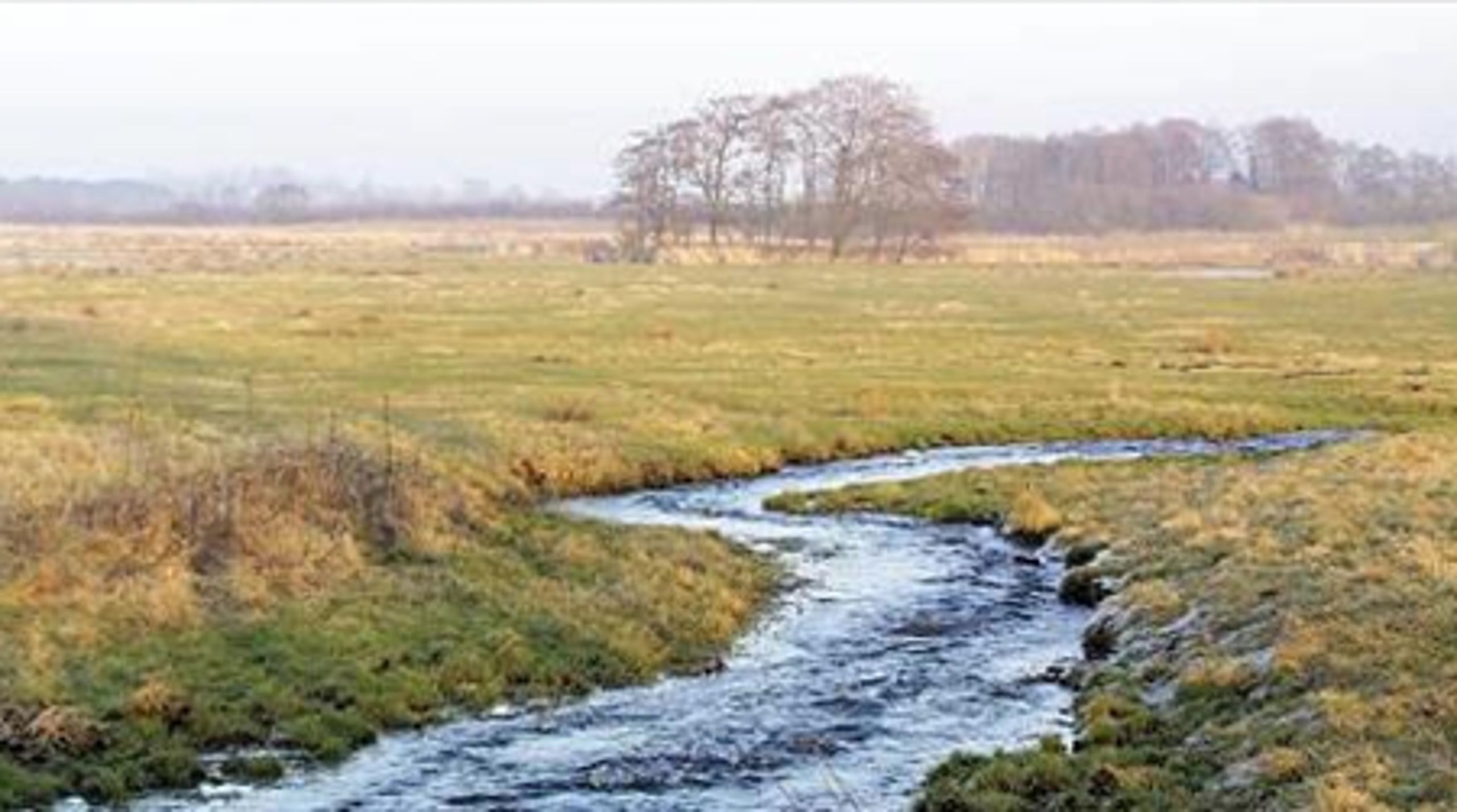 Mange kommuner har v&#230;ret usikre p&#229;, hvordan de skal forholde sig til landbrug, der ligger t&#230;t p&#229; s&#229;rbare naturomr&#229;der.