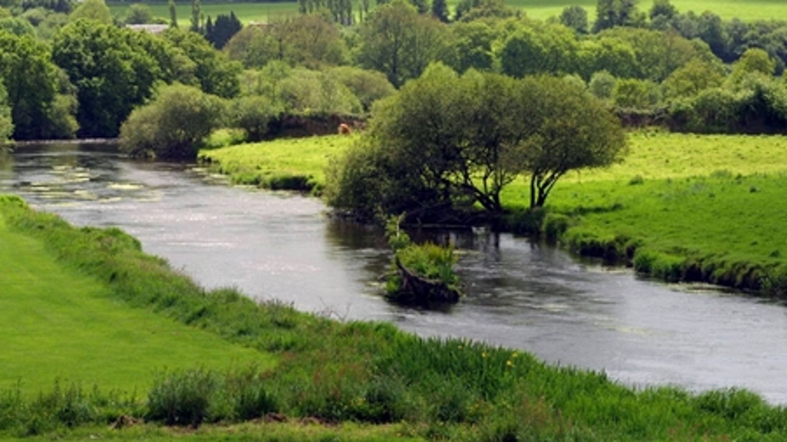 Den mest milj&#248;f&#248;lsomme jord skal helt sk&#229;nes for dyrkning, mod at der kan udledes mere kv&#230;lstof p&#229; de robuste jorde, mener Dansk Landbrug.