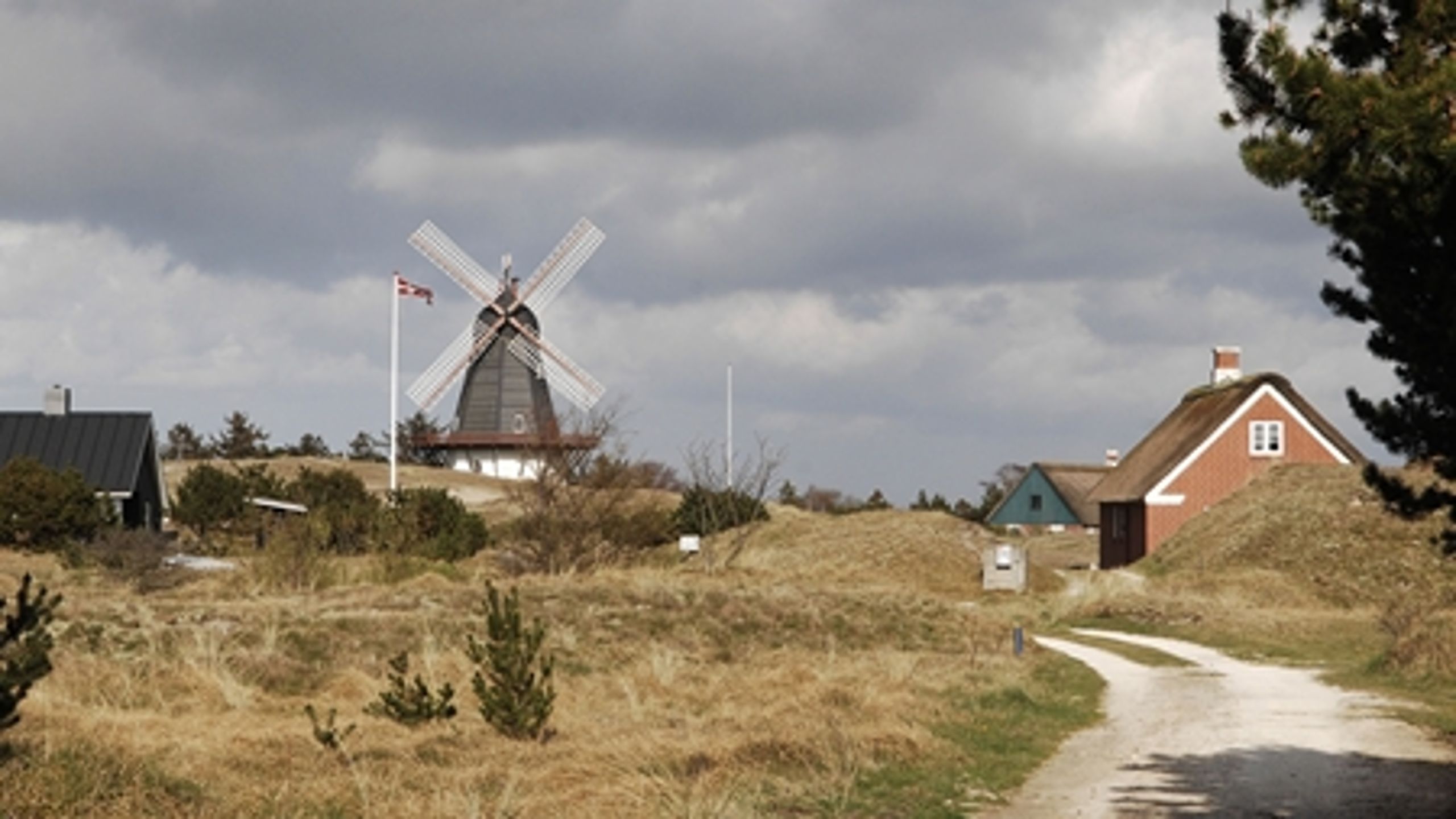 Tilskuddene til projekter, der skal fremme landdistrikterne, ligger stille i januar.