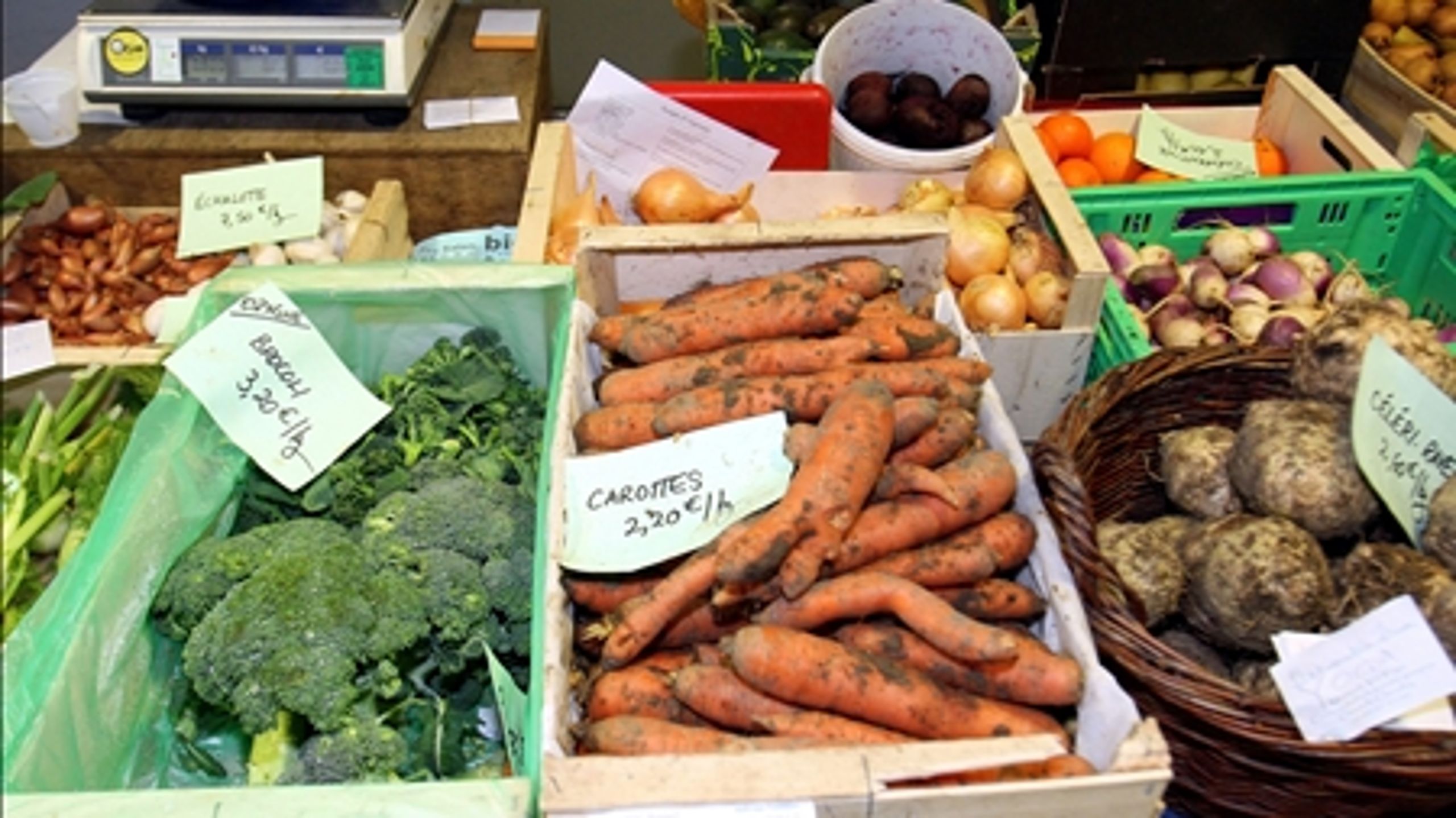 Noget for enhver smag - der kommer b&#229;de vegetarmad og saftige b&#248;ffer p&#229; menuen til klimatopm&#248;det.