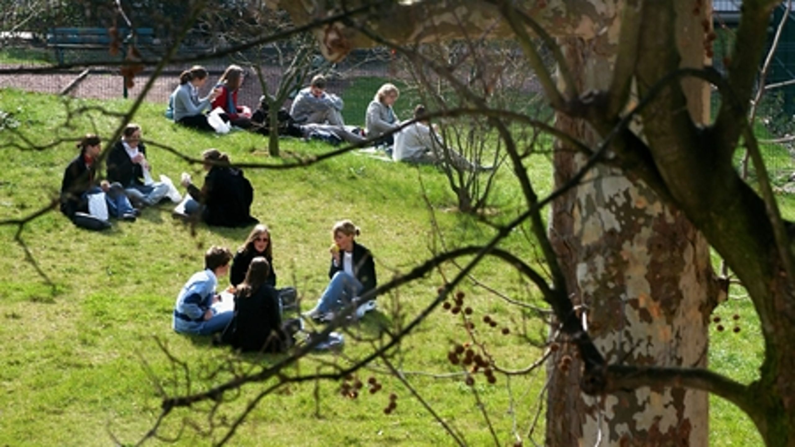 Problemer med udenlandske studerende i Danmark f&#229;r nu Bertel Haarder til at stramme reglerne.