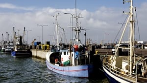 Dansk fiskerikurs får nedadvendt tommelfinger