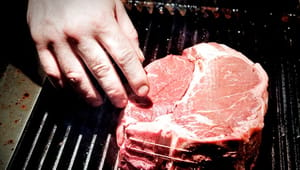 Alternativet: Afgift på kød er kun første skridt på vejen