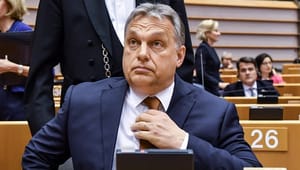 EL: EU ser til, mens Orbán mishandler demokratiet 