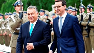 Ungarn, Polen eller EU: Hvem vinder kampen om de europæiske værdier?