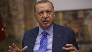 Debat: Tyrkiet må reformeres for at bevare plads i Nato 