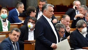 Kronik: Orbán styrer nu Ungarn som en diktator