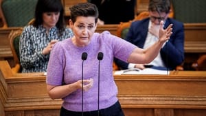 Pia Olsen Dyhr: Danmark har brug for en grøn vej ud af krisen