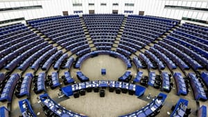 Danske EU-politikere jagter pladser i nye udvalg