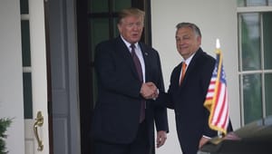 Ungarsk ekspolitiker: Orbáns Ungarn er en lektion til USA om ikke at tage demokratiet for givet efter Trump