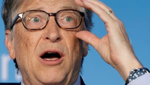 Bill Gates' klimabog er en skarp analyse fra en kernekapitalist