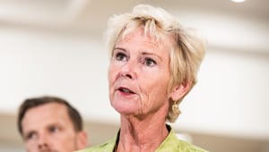 FH: Krisen har afsløret, hvordan huller i sikkerhedsnettet truer den danske model