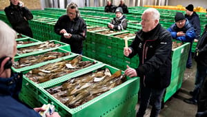 Fiskeriforeningen til Messerschmidt og Lidegaard: Stop for bundtrawl vil smadre rygraden i erhvervet