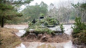 Nato vil have danske soldater til Letland