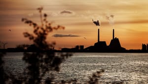 Tønder Fjernvarmeselskab: Biomasse er et overset alternativ til russisk gas