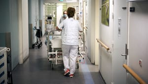 Sygeplejersker: Øremærk budgetmillioner til at styrke praktik- og introforløb i København