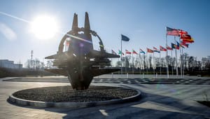 Nato til Danmark: Det går alt for langsomt