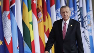 "Enhver anden tyrkisk præsident vil være bedre for Danmark og Europa"