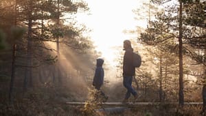 Stor stigning i bevillinger til videnskabelige formål