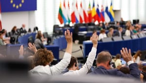 EU vil udskyde vitale dele af bæredygtighedsdirektiv med to år 