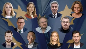 Hvem er de 11 spidskandidater til EU-valget? Mød dem her